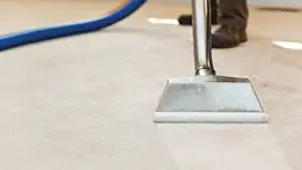 Carpet cleaning wand head gliding over a light carpet during hot-water extraction, Chattanooga, TN.